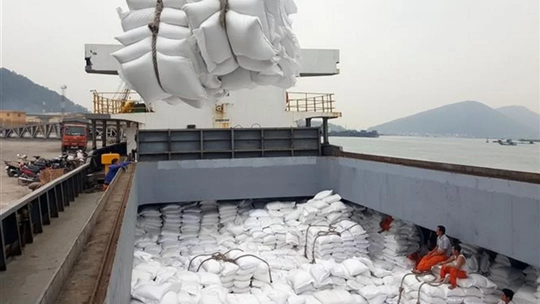 A Little Sweet Long-Grain Rice IR 504 RICE With 2 Years Shelf Life Application For Food And Cooking