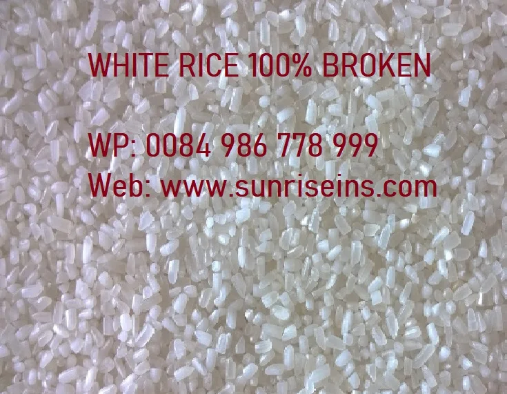 Рис Бланк 100% сцит (WP: 0084986778999 г-н Дэвид-Председатель)