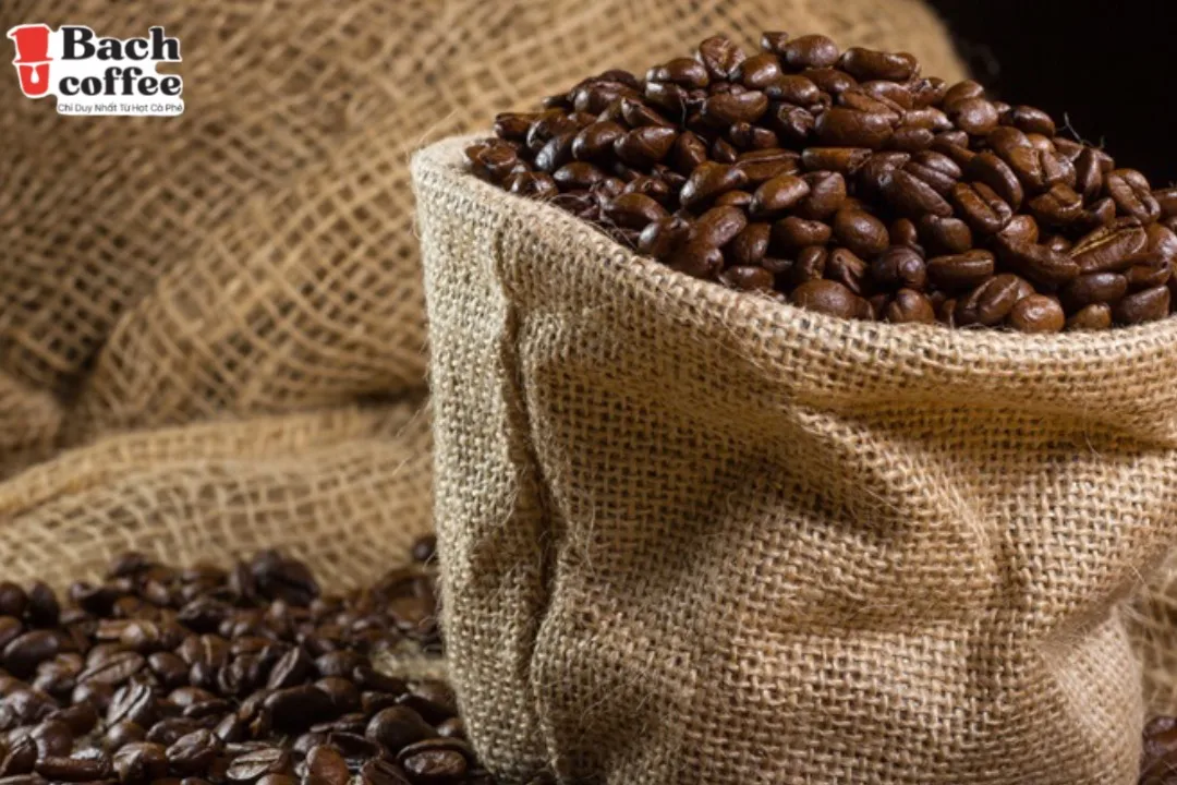  Органические легкие жареные зерна кофе лучшая эспрессо из Вьетнама супер здоровая Арабика для максимальной производительности