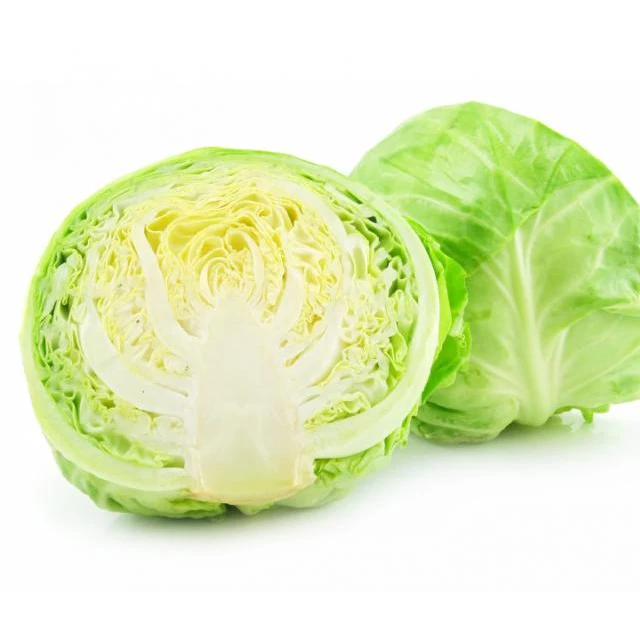 Fresh cabbage Cheap price and quick response with high quality and carefully packaged