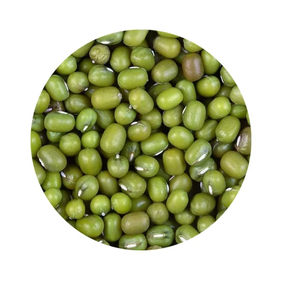 Crop 2021 October wholesale good quality from Uzbekistan bags 25 kg natural green mung dried kidney beans