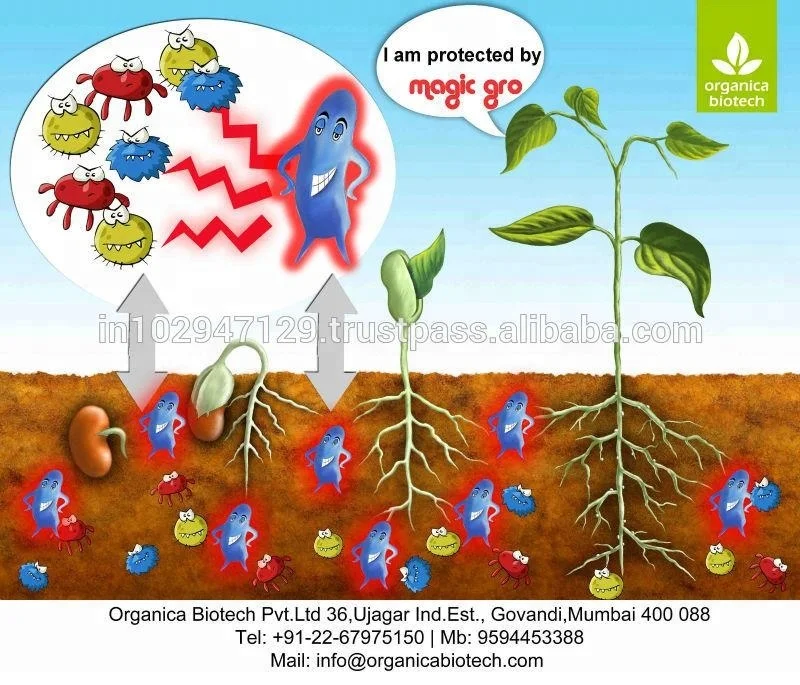 Organic fertilizer powder product for flowering and garden plants