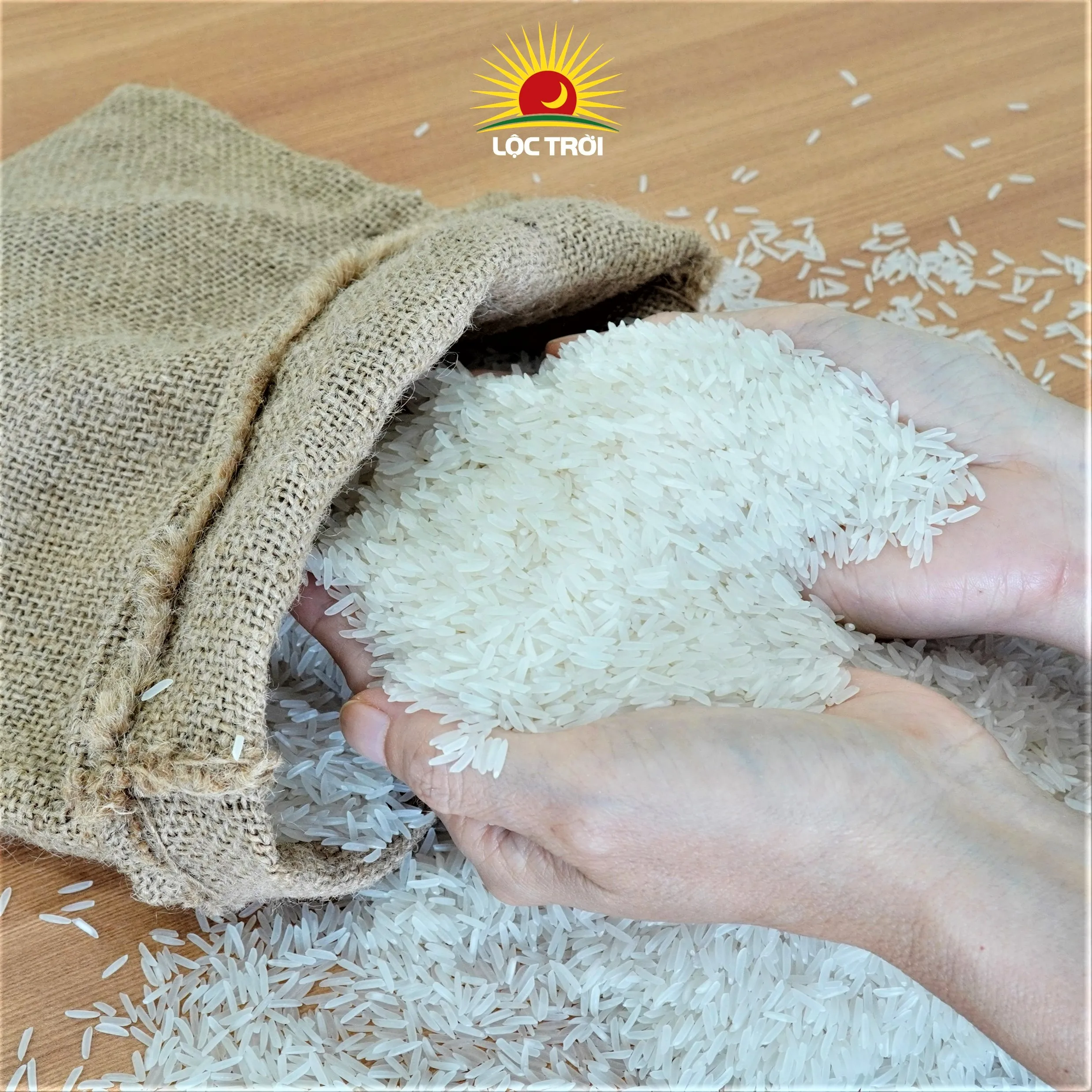 Long Grain Fragrant Rice / White Rice LT28 Variety from Vietnam Best Supplier Contact us for Best Price