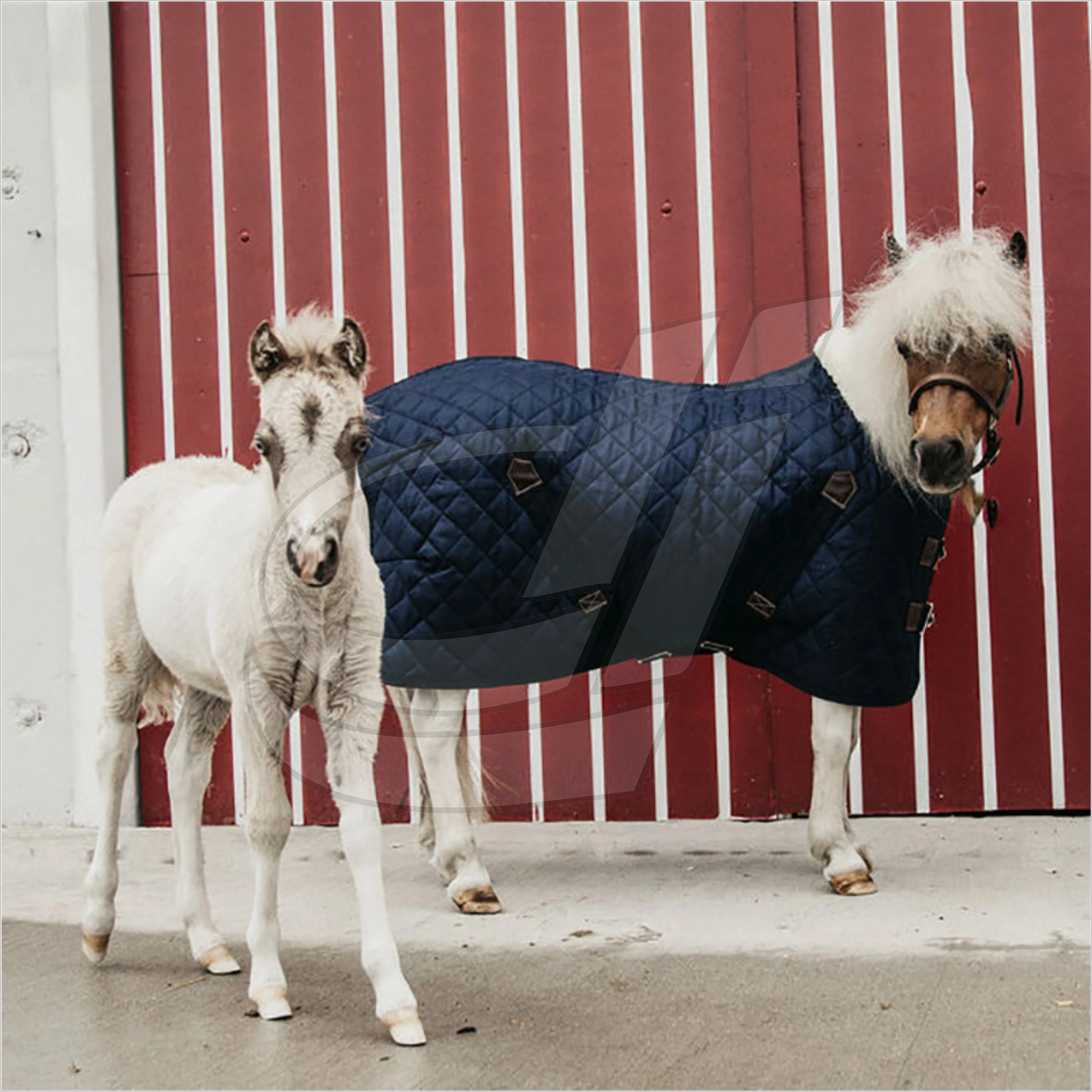Wholesale Customize Horse Riding Saddle Pads High Quality Horses Saddle Mats Hot Sale Equine Equestrian Equipment