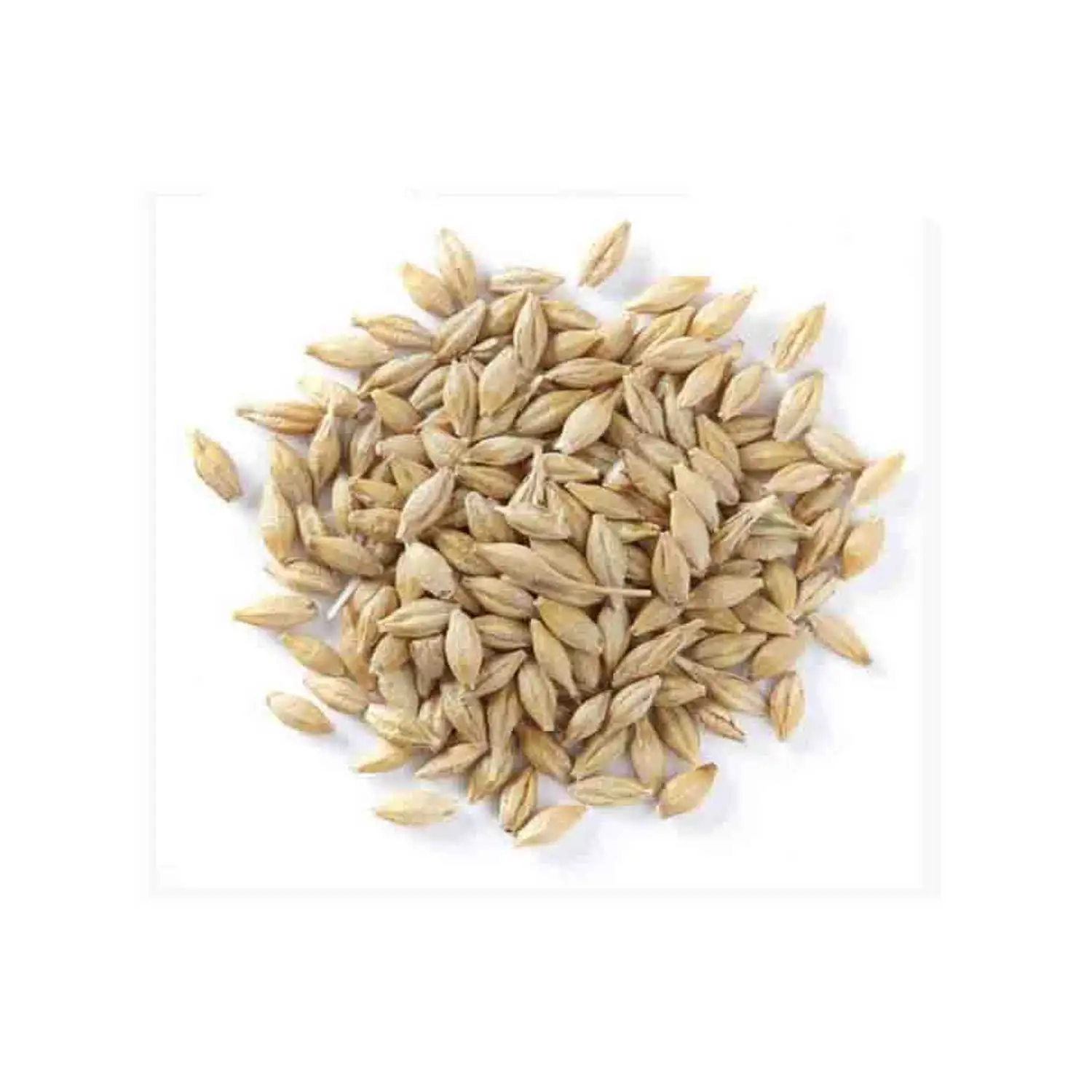 Оптовая продажа оптом ячменя зерна сельскохозяйственных культур