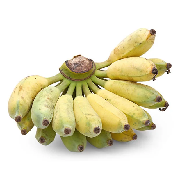 Su Banana Vietnamese Fresh Fruit Nutrition Vitamin  Top Grade Quality Hot Sell Cheap Price Low MOQ For Export Delicious