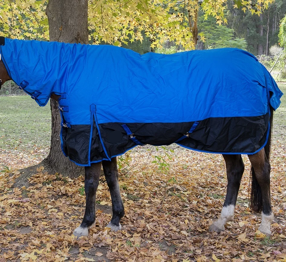
Top Quality Horse Rug 200 g Winter Combo Royal Blue 
