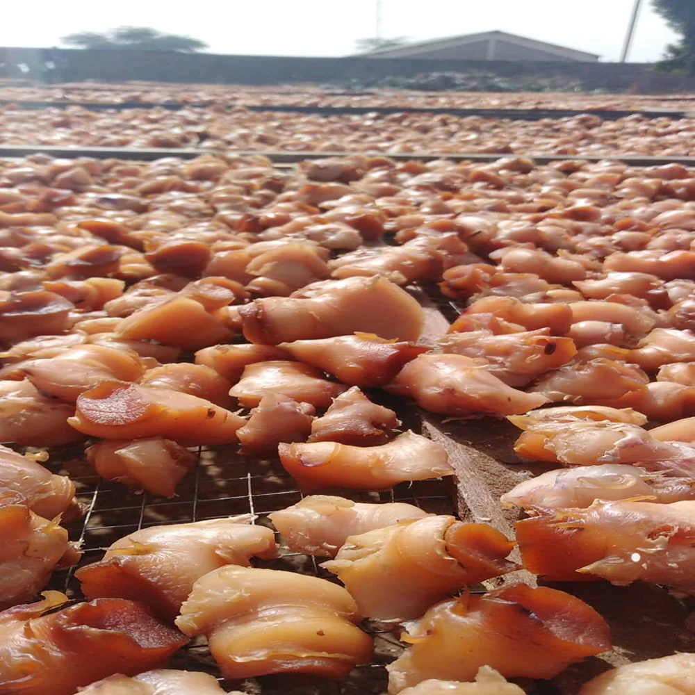 Dried Conch-Frozen Conch-Dried Conch Meat Wholesale Delicious Good Quality Seafood Snacks