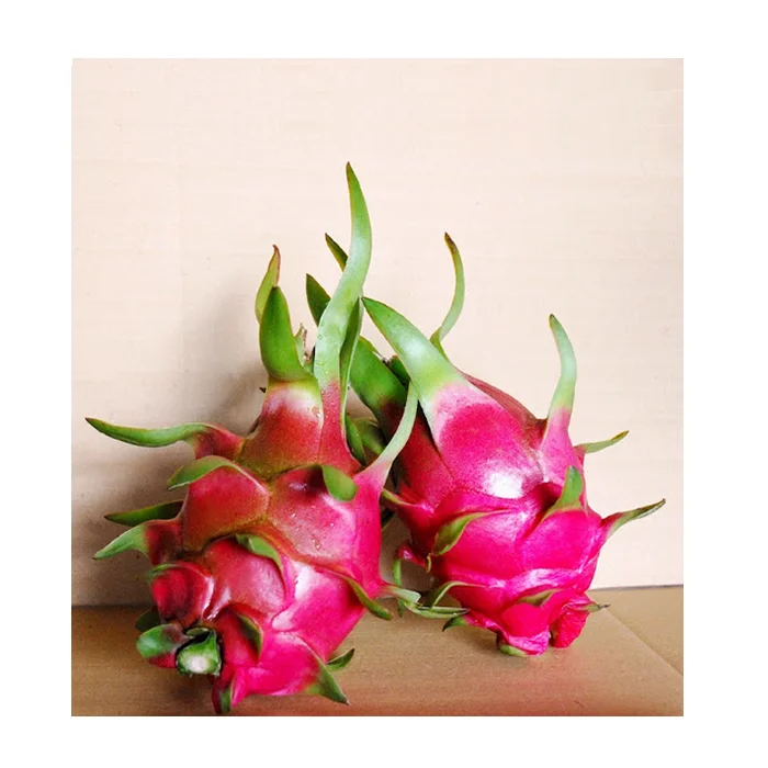 HOT SALE - Vietnam Fresh Red / White Dragon Fruit - High Quality for Sweet Dragon Fruit at Cheap Price