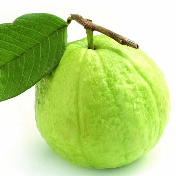 
Fresh Guava Fruit 