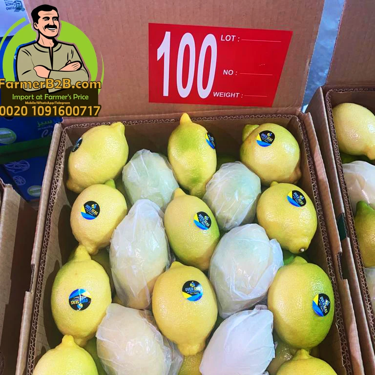 Special price Top quality  2021/2022 new season fresh Adalia (Eureka A) wholesale Egyptian fresh Lemon