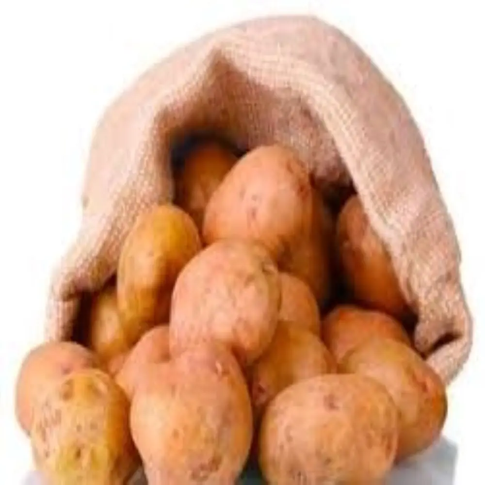 Импортный картофель sante/Леди Розетта/мозика/Айдахо в больших количествах лучшая индивидуальная упаковка для сладкого картофеля