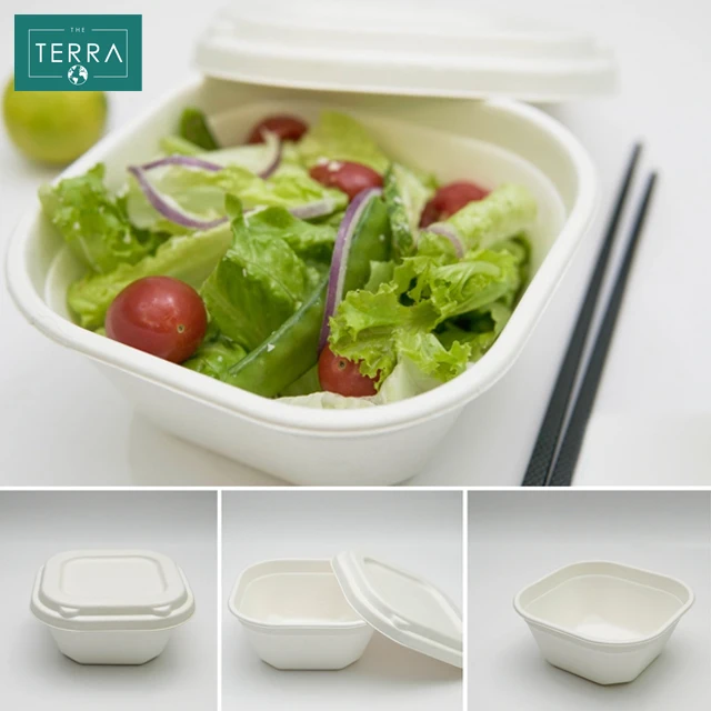 Vietnam Quality Food Biodegradable Packaging Surgarcane Bagasse Areca leaf White Natural RETANGUKAR Box With Lid