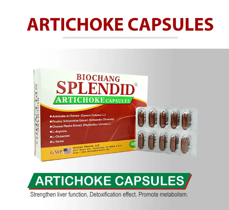 
Natural Ingredients Extract Strengthen Liver Function Artichoke Capsule 
