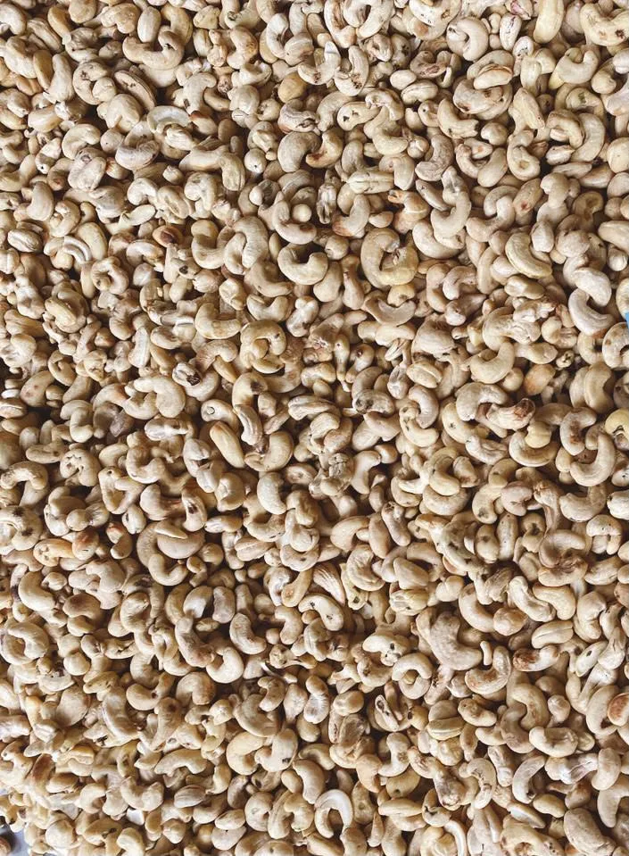 Hot Selling best price Raw  Cashew Nuts W180 W240 W320 W450 WW320 Dried Cashew from Vietnam