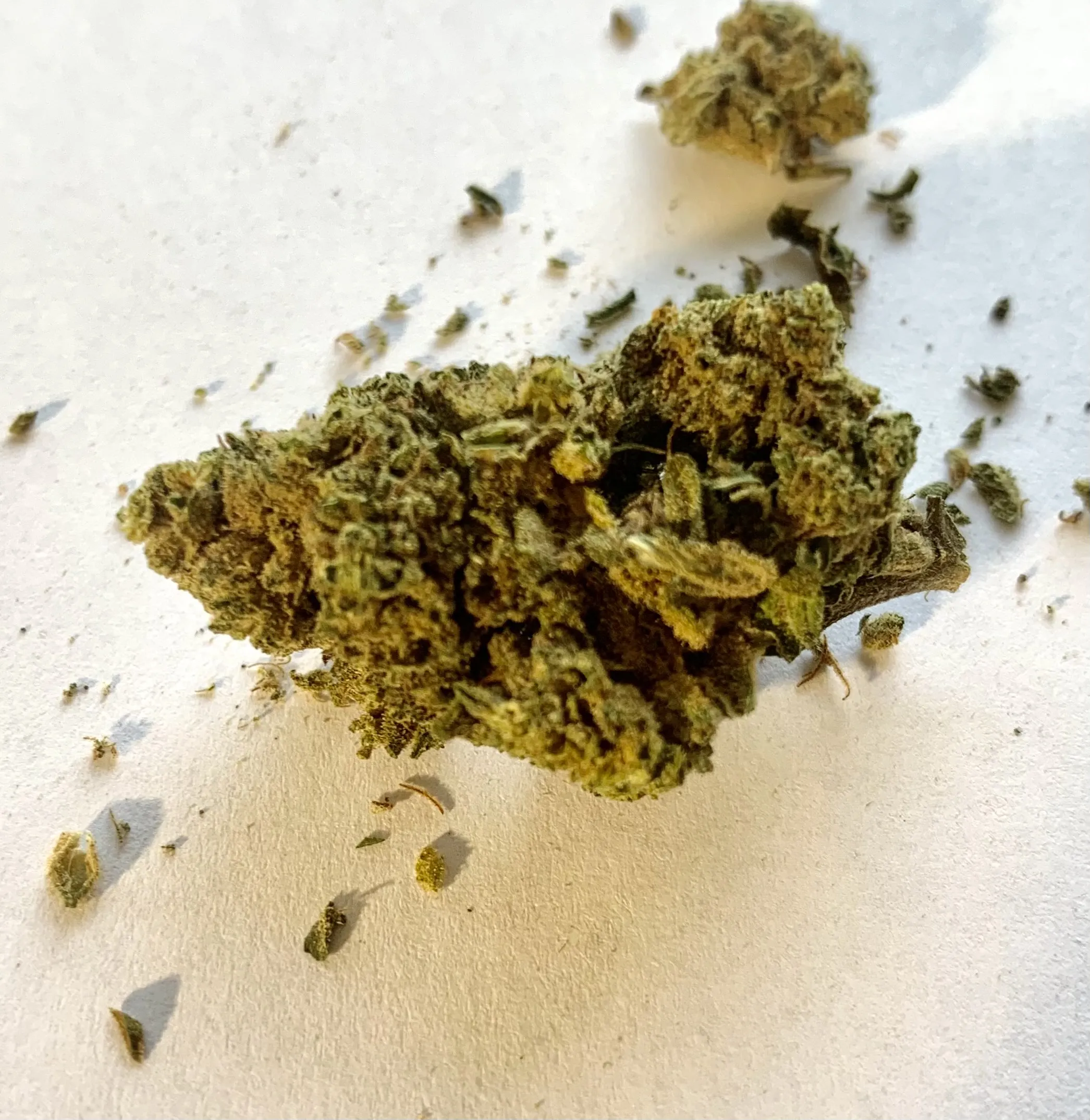 
CBD Cannatonic 