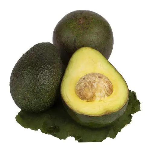 
fresh Avocado 