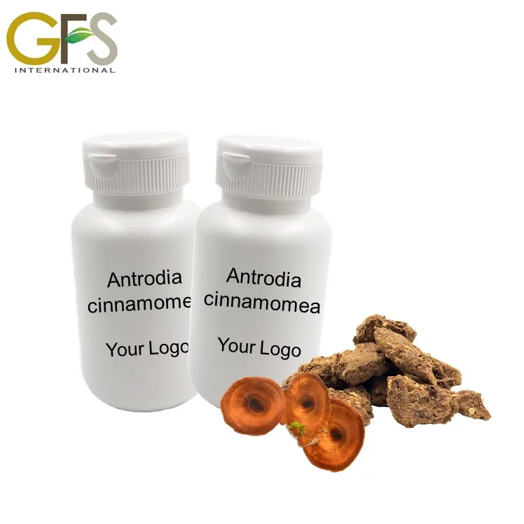 daily Turmeric health food products manufacturers