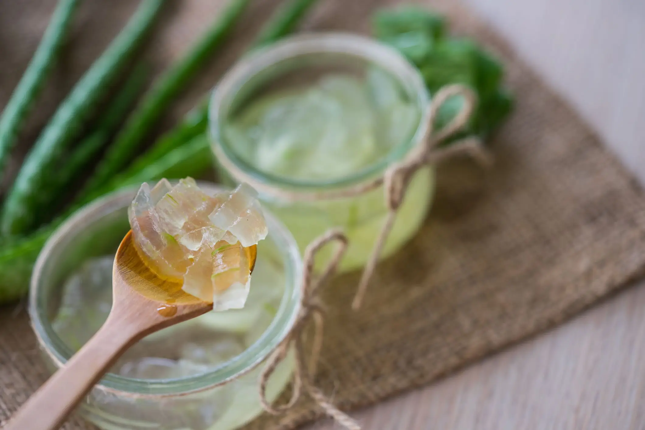 Frozen Aloe Vera Leaf from Vietnam - Ms. Esther (WhatsApp: 0084 963590549)