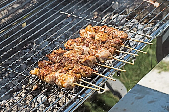 BBQ Grill N80 Trolley Stainless Steel (bonne Metal Grills- G-0505-N80) Charcoal Grills All-season Not Coated 80x40x68 Cm 11 Cm