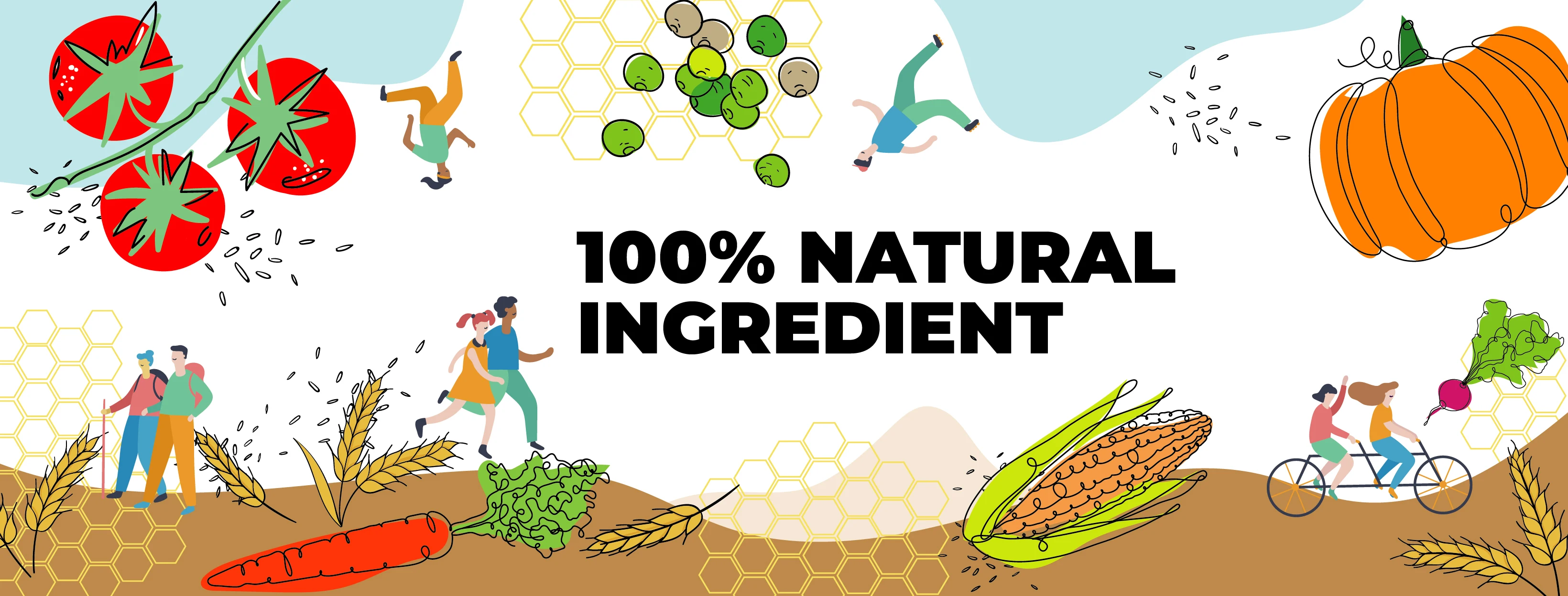 Best Product Multi Grains Snacks 100% Natural Ingredient  Non Preservative Healthy Snacks Certificate of HACCP HALAL GMP