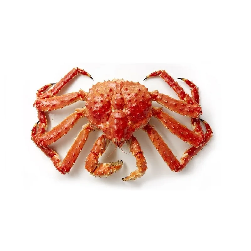 Hot Sale Of Fresh Deep Sea Crab Chilean Best Quality Baby King Crab Antarctica snow Crab At Cheap Price