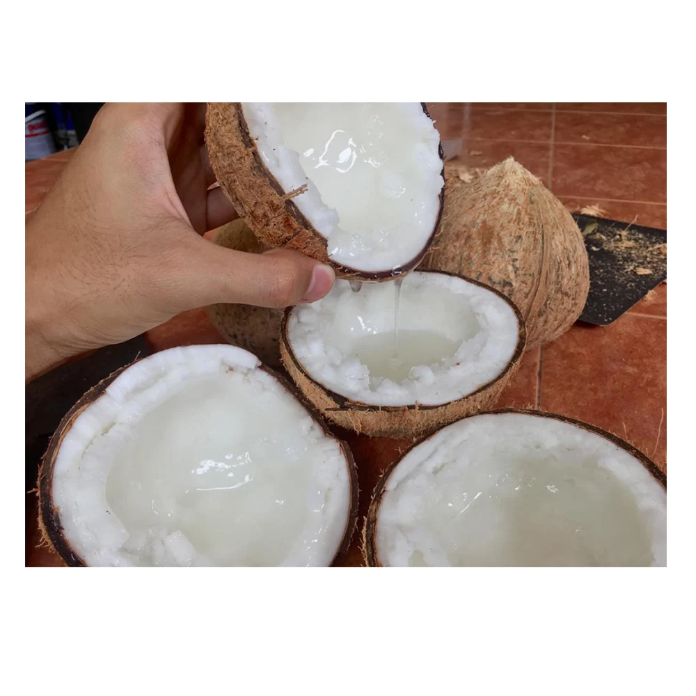 Premium Quality Macapuno Makapuno Best Fresh Coconut for Making Dessert Good Smell and Chewy Texture  From Thailand
