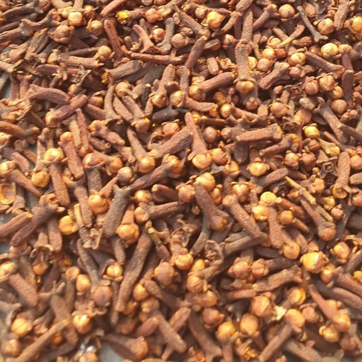 
Лучшая в жизни Гвоздика Лар парари из Индонезии. Премиум Гвоздика 