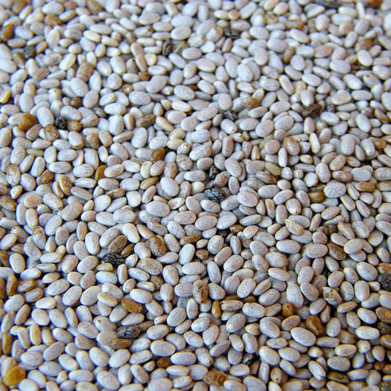 
Chia Seeds in bulk for sale 