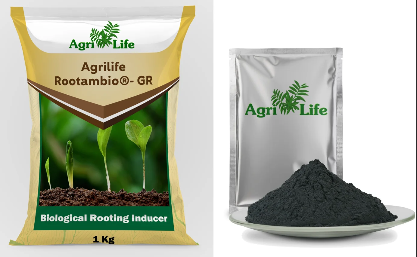 Powder Bio Fertilizer Organic Fertilizer For Soil Application Organic Promote Crop Growth Seaweed fertilizer Root Proliferation