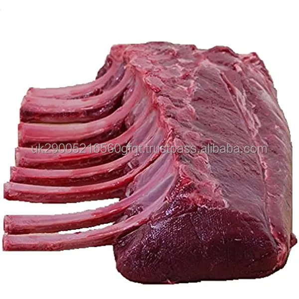 venison4.jpg