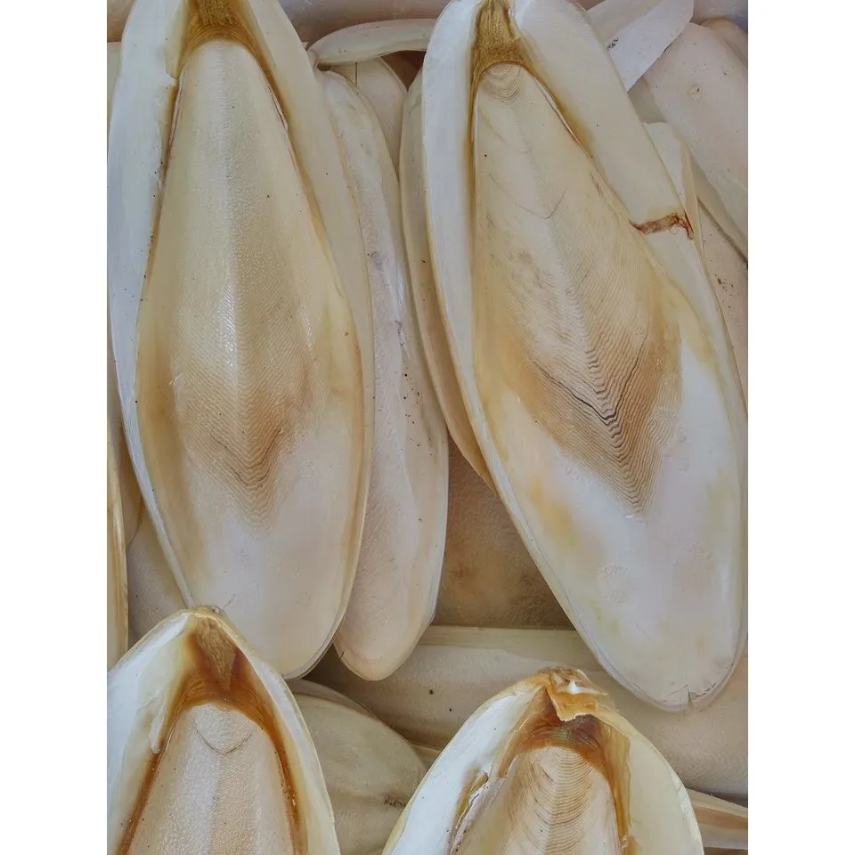 Высококачественная вьетнамская косточка Для морской слепки высшего сорта