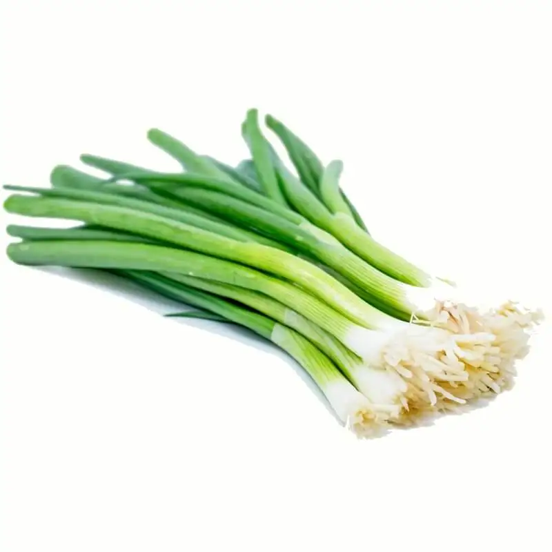 
Fresh Scallions Fresh Green Onion, Green onion , Welsh onion &nbsp;&nbsp;