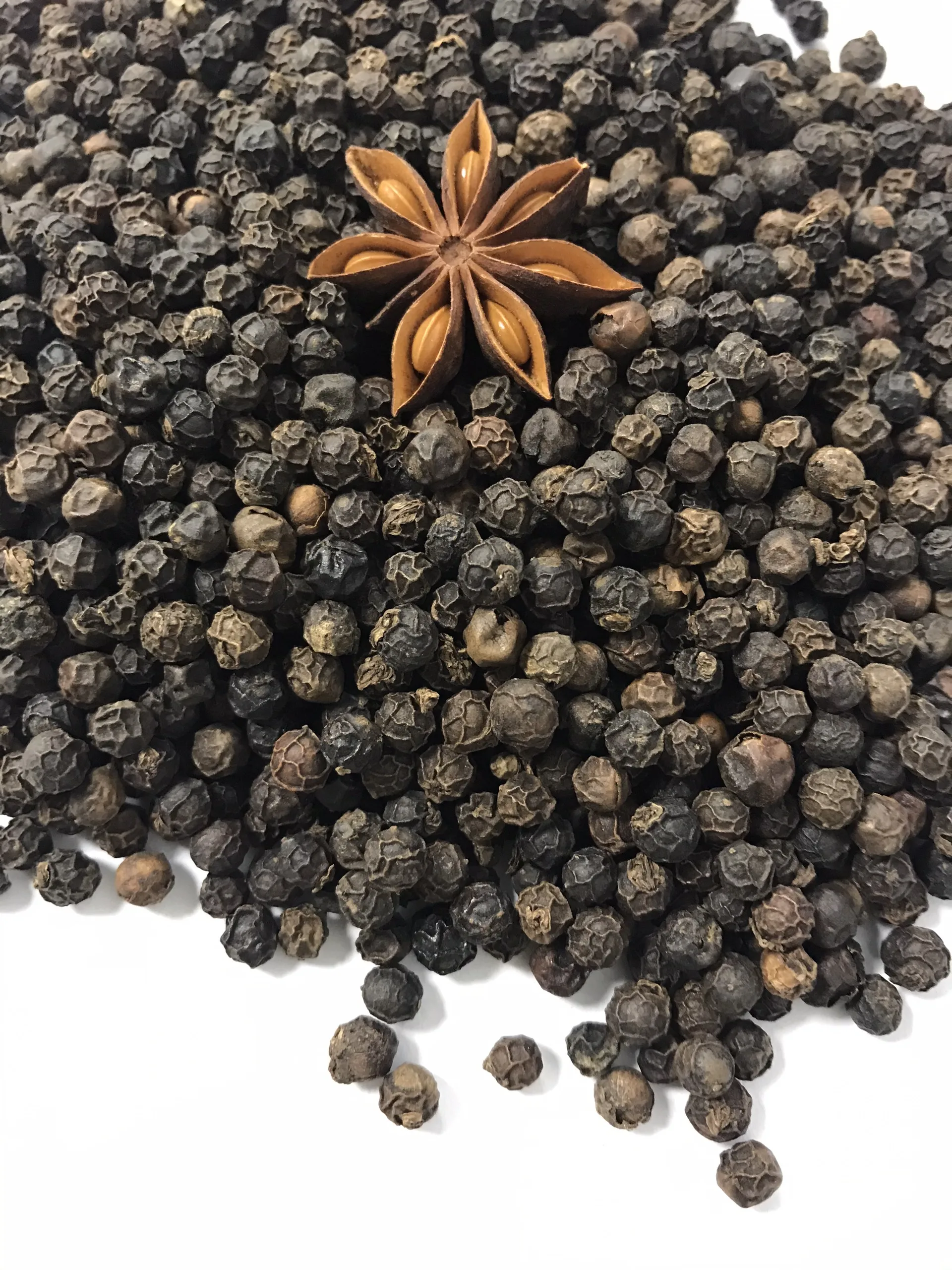 Dried Pepper FAQ/ MC (Cleaned) New Crop With Competitive Price + Best Quality (Whatsapp: +84 368 591 192)