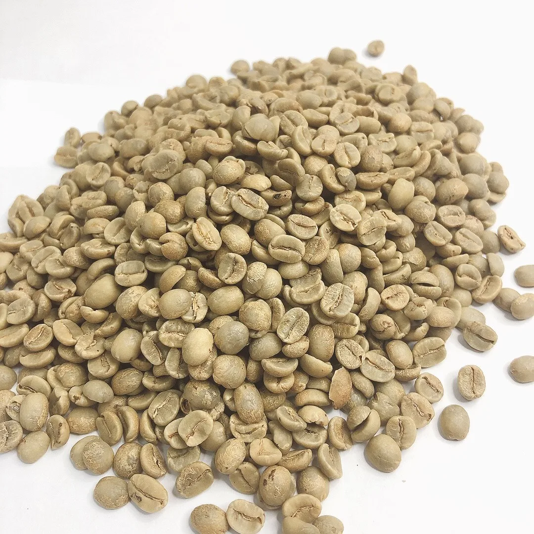 Минимальный заказ доступен по оптовой цене вьетнамская Арабика зеленая фасоль Класс 16 полностью моется мед и естественный