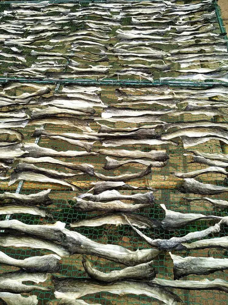 
Dried fish skin Pangasius for snack from Viet Nam 