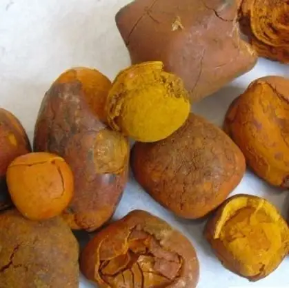 Dried Cow Ox Gallstones