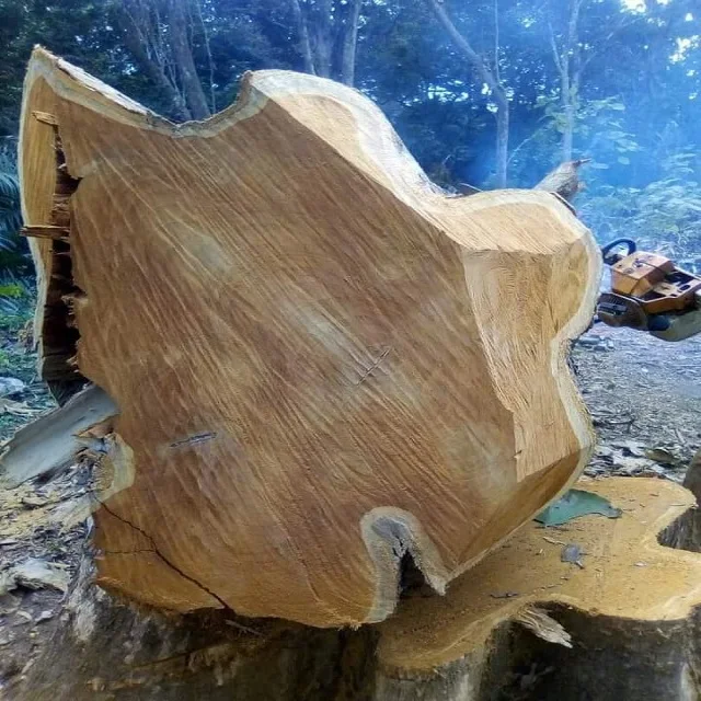 Древесина Limbali (Gilbertiodendron dewevray) квадратные и круглые бревна