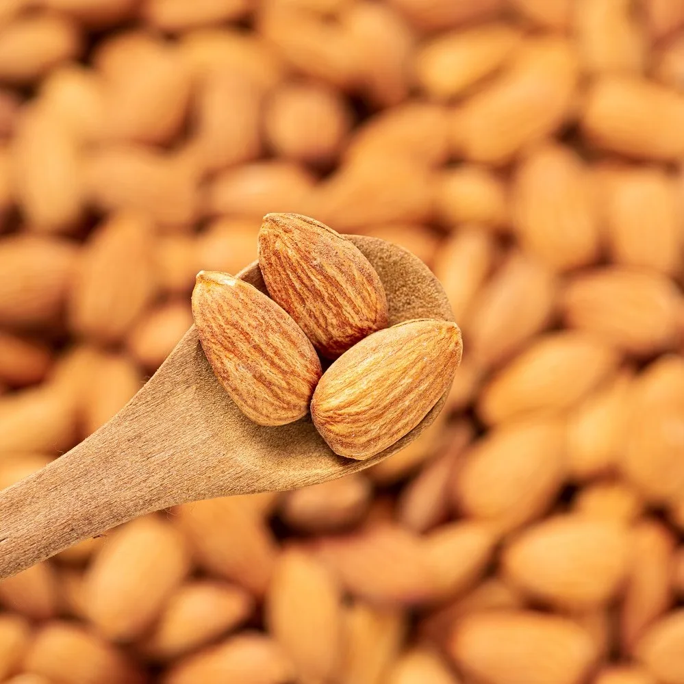 Almond Nuts, Almond Kernel, Sweet Almond Natural Wholesales