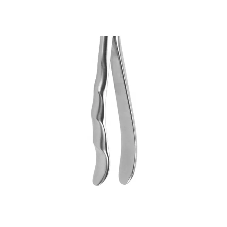 Top Selling OEM Cheap Manufacture Surgical Dental Extracting Forceps Upper Root Fragments