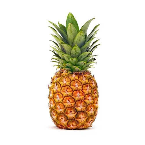 Juicy Fresh Pineapple Fruit Possible Raw Pineapple Fruit/ Ananas comosus Or Pine Apple From Bangladesh