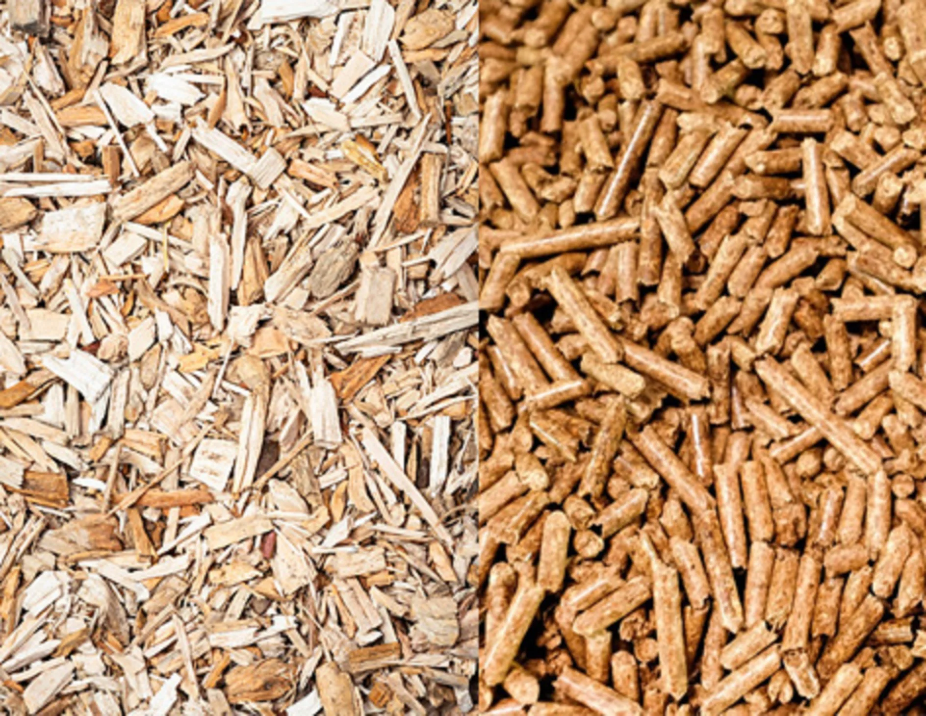 Beech Wood Pellet Available 6mm and 8mm