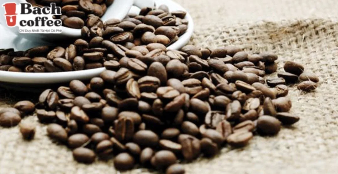 Viet Nam Finest Liberica coffee  Beans Roasted -Highest Quality Delicious Organically Sourced Fair Trade - Whole Bean Coffee