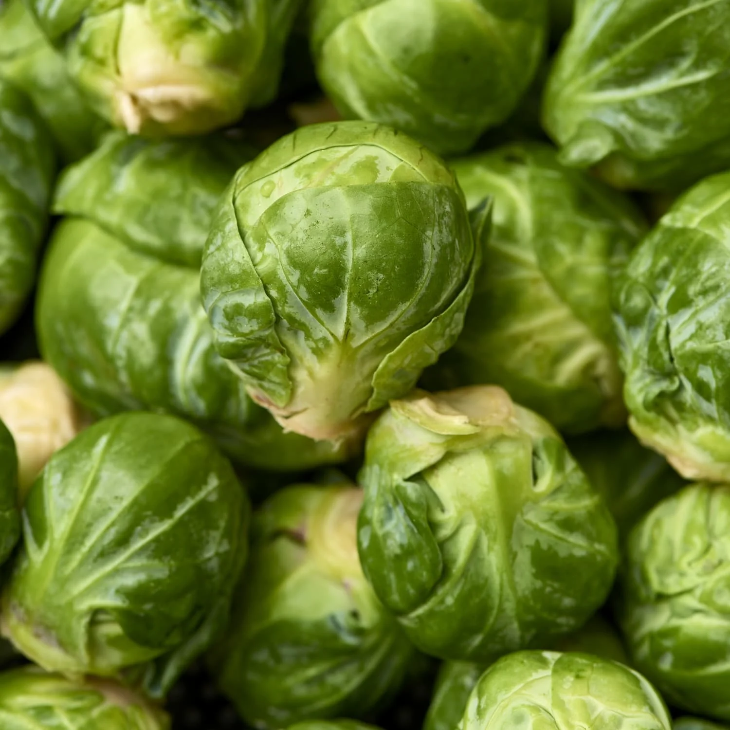 2019 Crop 10 10mm IQF Frozen Fresh Brussels Sprouts