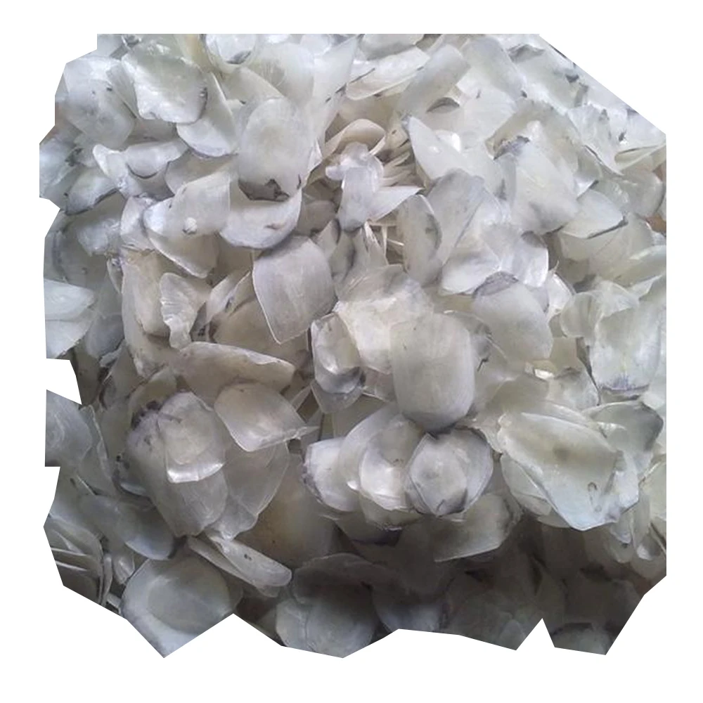 
Dried Fish Scales Dry Scales Dry Fish Scale Fish 