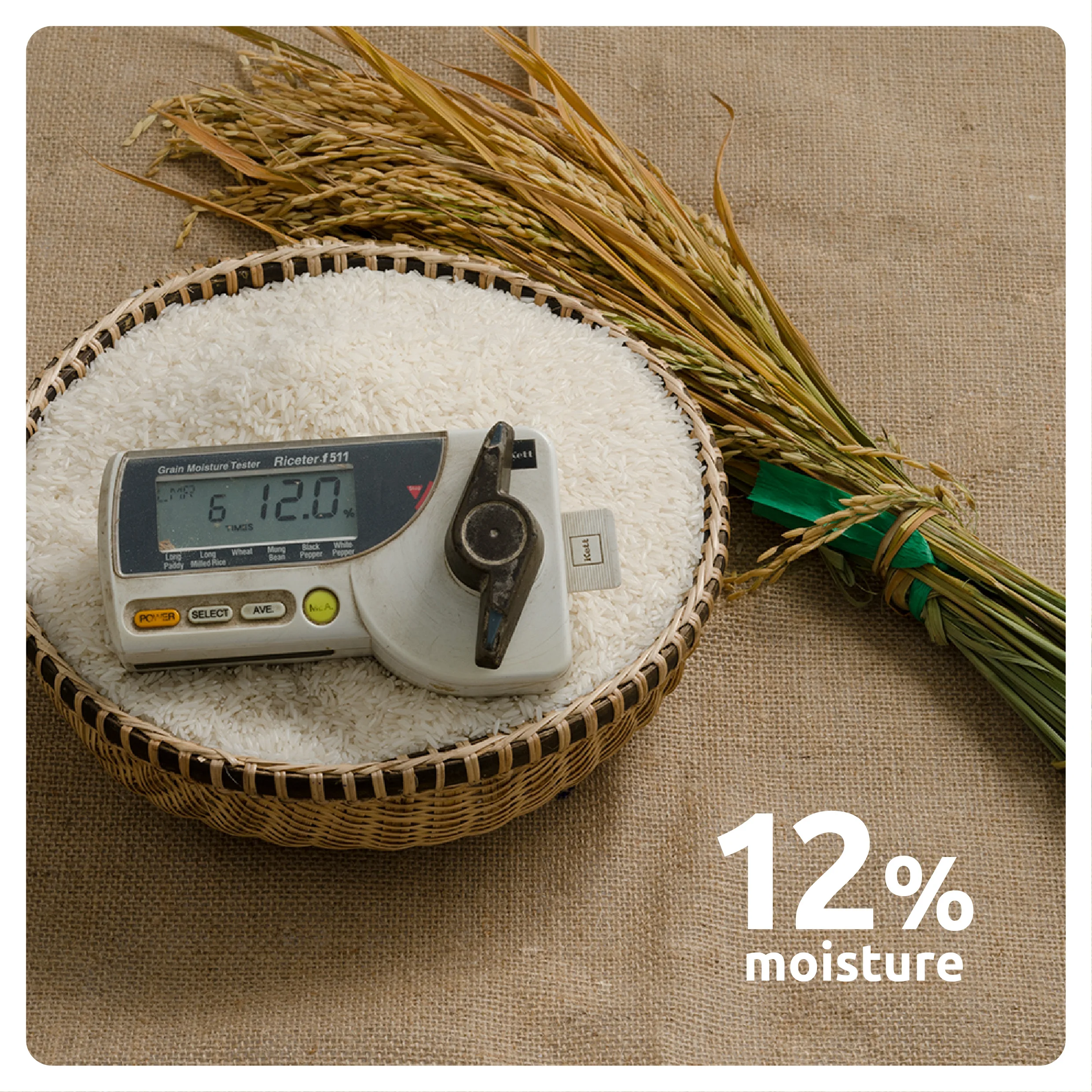 Nang Hoa риса Минь там бренда из Вьетнама сельское хозяйство сушеные Ароматические Среднезерный 18 месяцев полка