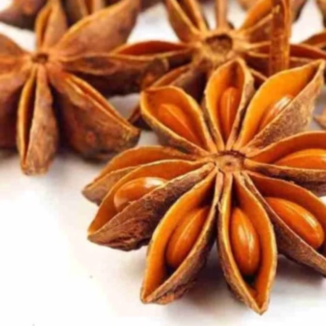 Best Price Star Anise/Star Anise from Viet Nam