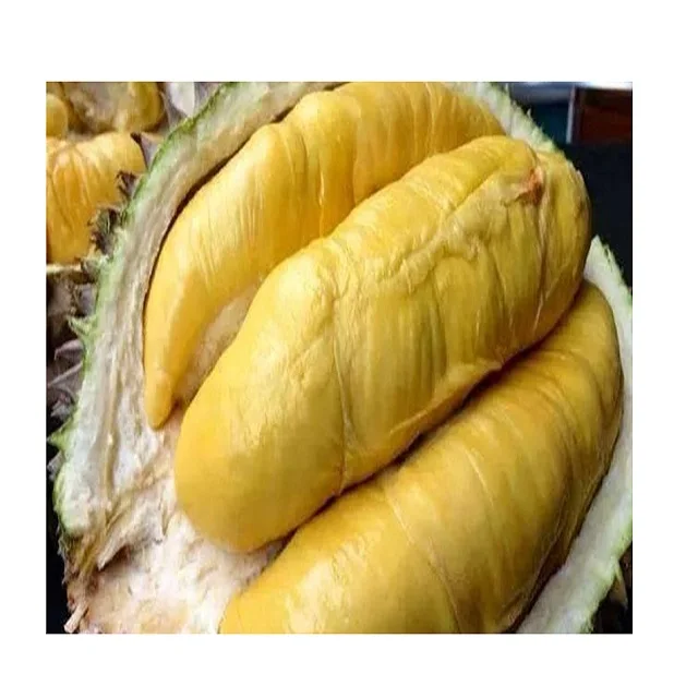 2021 Wholesale Fresh Durian Best Price High Quality for EU market Bio clean Global Gap in Vietnam Free Tax
