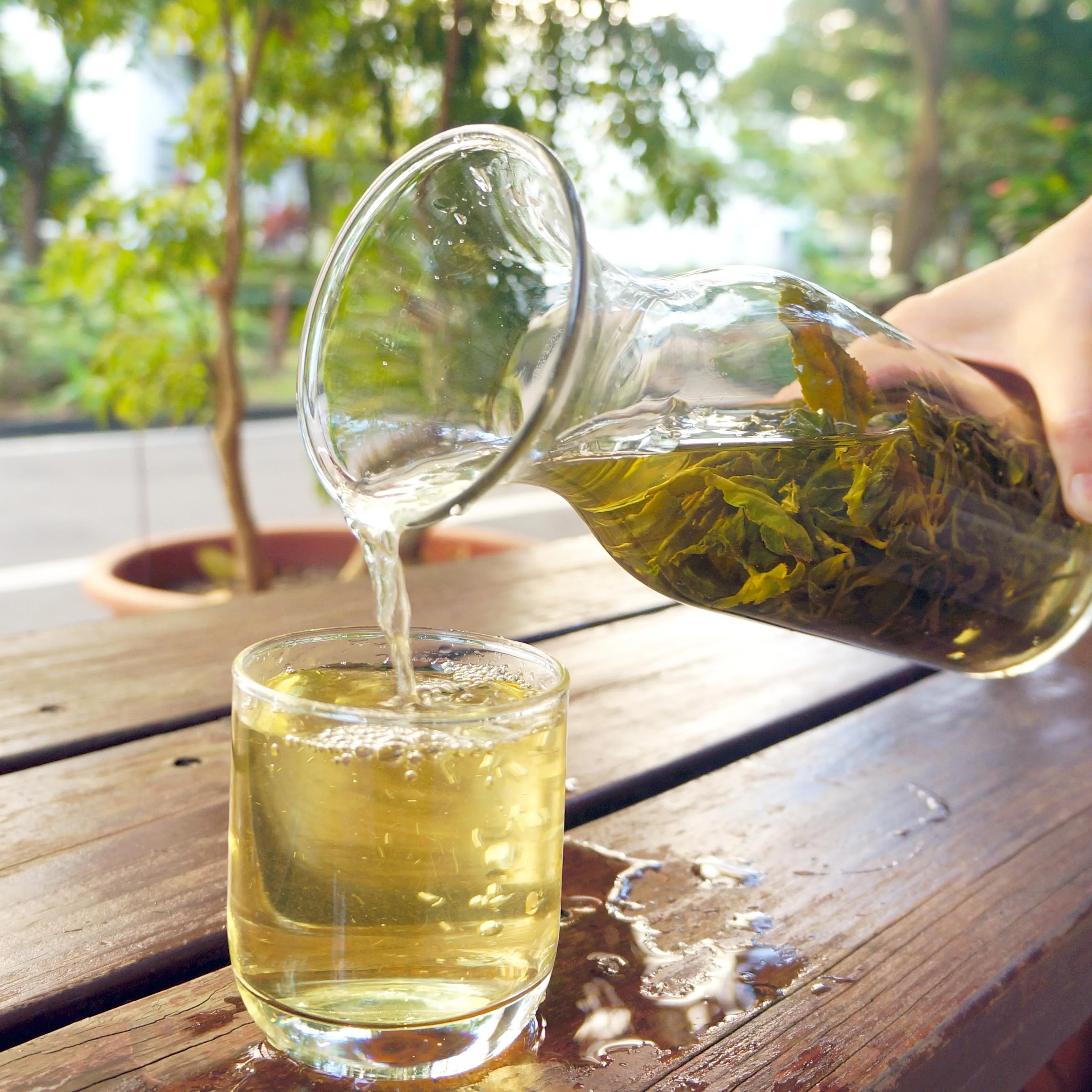 Premium Milk Golden Oolong Green Tea Taiwan Brand Loose Leave Tea