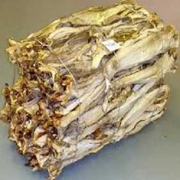 DRIED STOCK FISH READY FOR EXPORT TO NORWAY